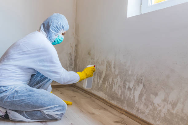 Mold Remediation specialist working in New Columbia