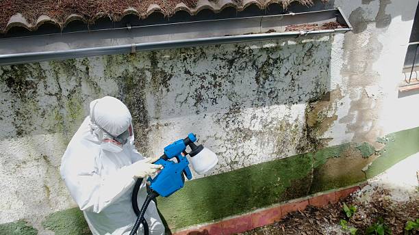 Mold Remediation service in New Columbia, New Columbia, PA